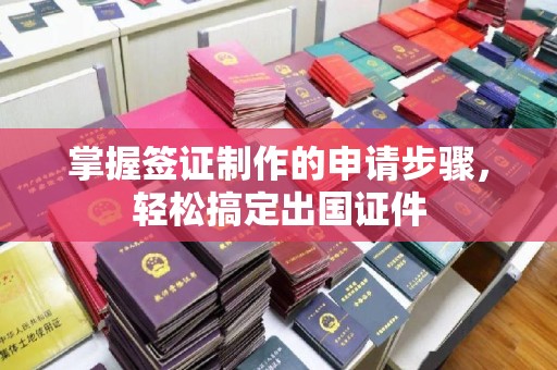 黎平掌握签证制作的申请步骤，轻松搞定出国证件